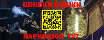 крисы Славгород