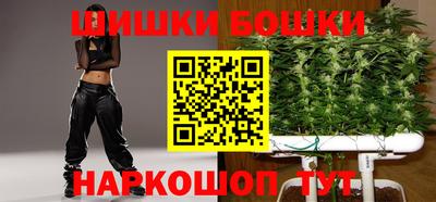 крисы Славгород