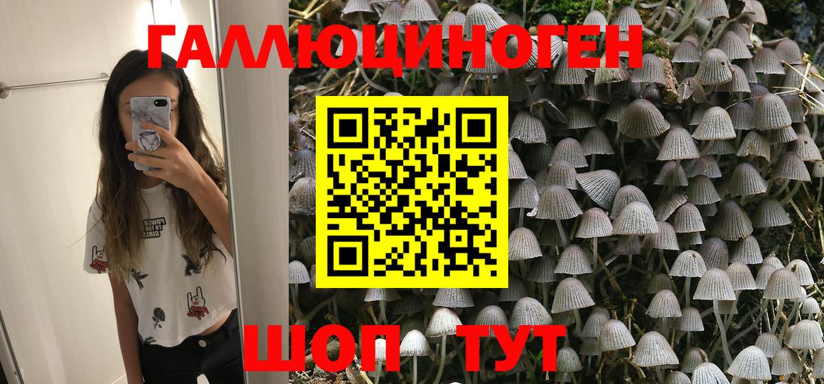 Галлюциногенные грибы мицелий  Вход с VPN  наркота  Самара 